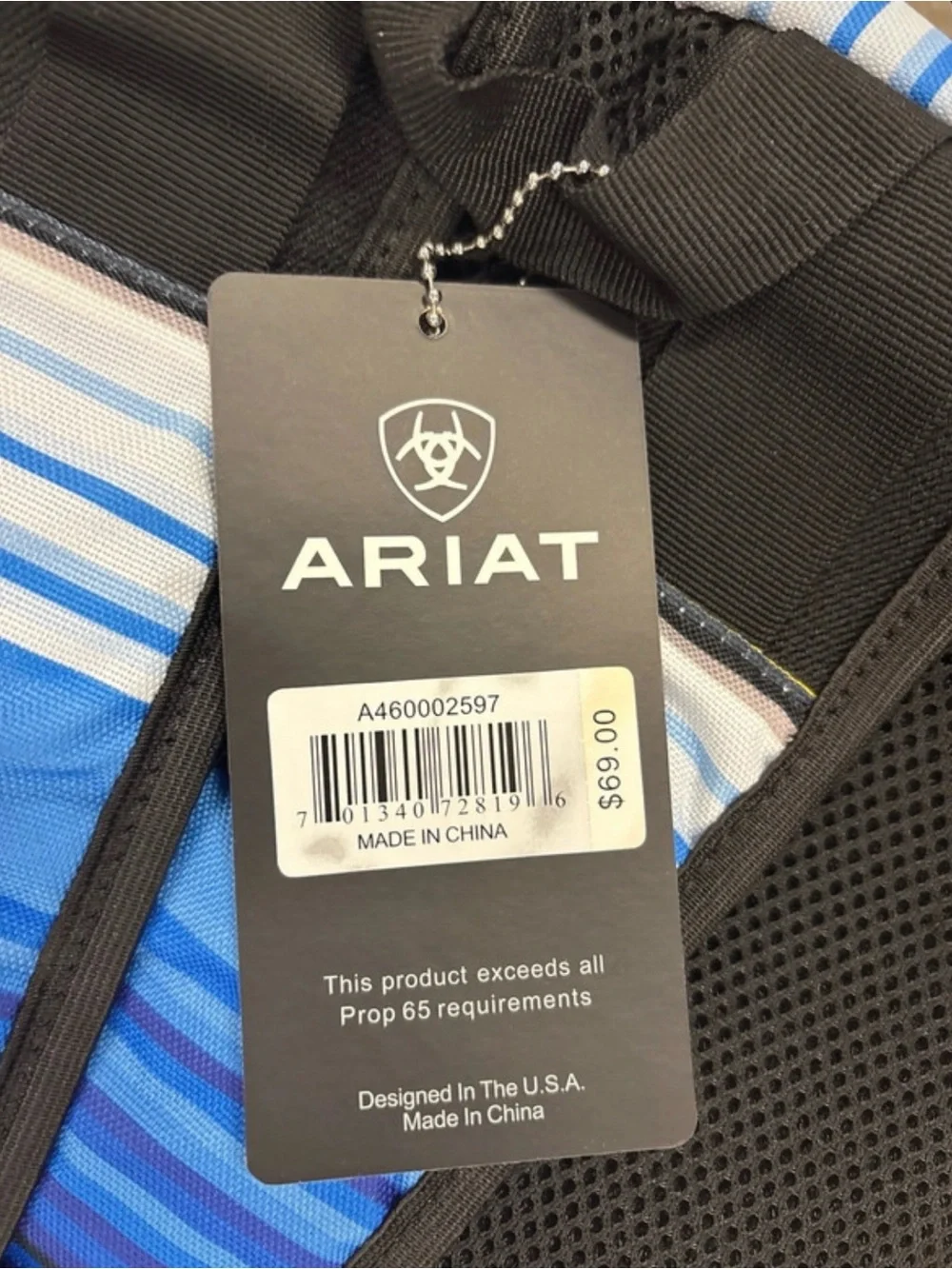 Ariat Multicolor Striped Backpack - Blue, Yellow, Red